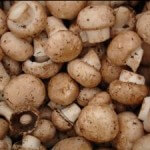 Pilze sind geschmackvoll und gesund