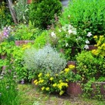 Garten Beet Blumen Ein Steingarten bietet sich vor allem in Hanglage an