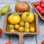 Tomaten gibt es in vielen verschiedenen Variationen
