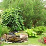 Mansion yard Im August sind vor allem Routinearbeiten im Garten nötig