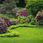 Kompozycja ogrodowa Bei der Gestaltung eines Staudengartens sind der Fantasie keine Grenzen gesetzt