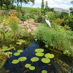 Gartenteich