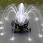 Spinne