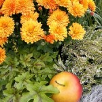 Herbstlicher Blumenkorb