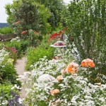 Naturgärten werden immer beliebter © Jeanette Dietl - Fotolia.com