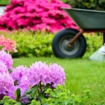Nach dem Winter braucht der Rasen eine Extra-Behandlung © Stefan Körber - Fotolia.com