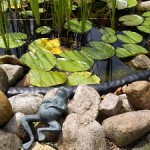 Nach dem Winter muss der Teich gut gepflegt werden © Frank Meyer - Fotolia.com