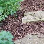 Rindenmulch im Garten hat viele Vorteile © petrabarz - Fotolia.com