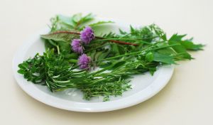 Kräuter Frische Kräuter aus dem eigenen Garten
