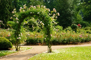 eingang zum Rosengarten Ein Rosenbogen ist ein herrlicher Blickfang im Garten