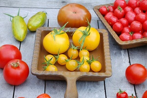 Historische Tomatensorten Tomaten gibt es in vielen verschiedenen Variationen