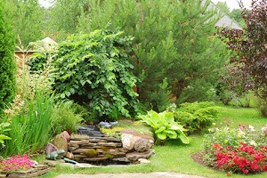 Mansion yard Im August sind vor allem Routinearbeiten im Garten nötig