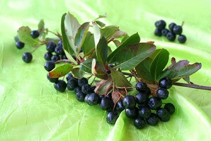 Die Aronia-Beeren sind besonders reich an Vitamin C © farbkombinat - Fotolia.com