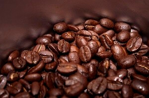 Kaffee enthält viele wertvolle Nährstoffe, die über den Kaffeesatz auch Pflanzen zugute kommen können