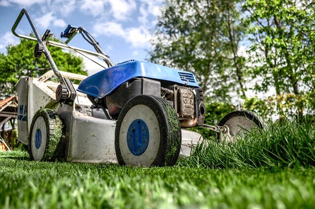 So wird der Rasen im Sommer richtig gemäht So wird der Rasen im Sommer richtig gemäht