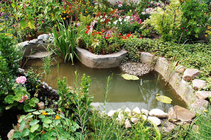 Ein Gartenteich muss regelmäßig gereinigt werden