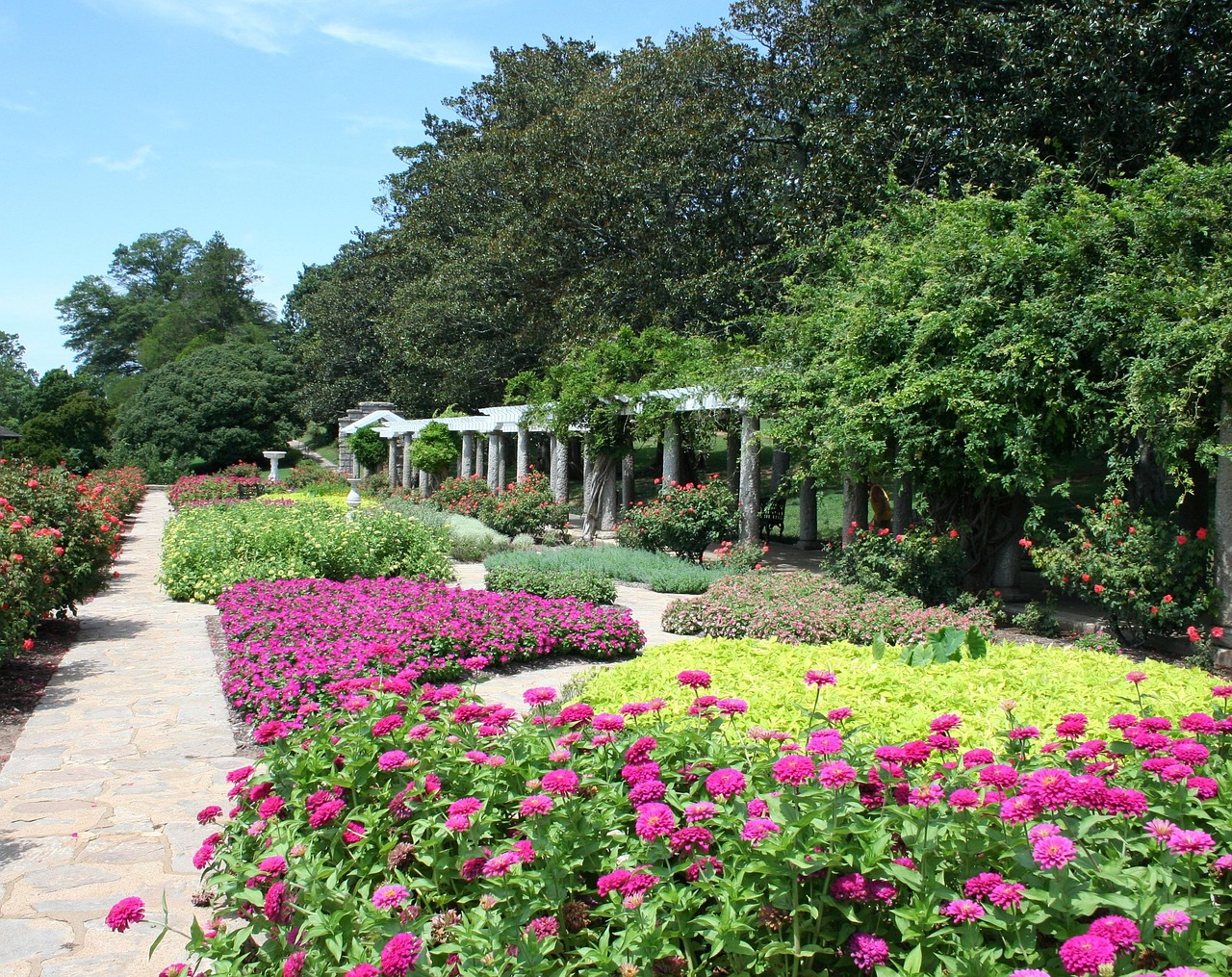 Gepflasterter Gartenweg zwischen blühenden Beeten und einer Pergola