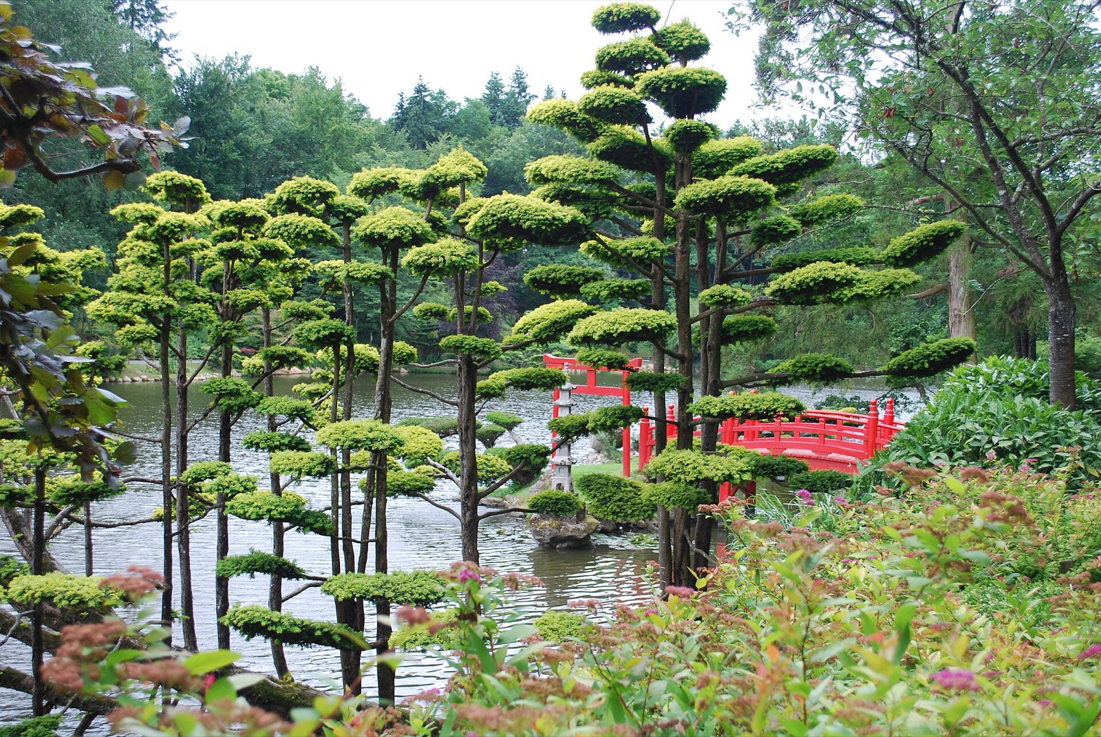 Wolkenschnitt im japanischen Garten des Parc Oriental de Maulévrier